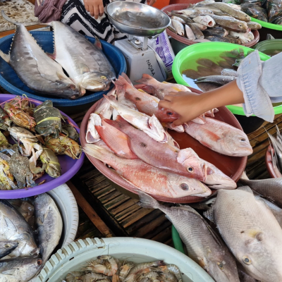 Seafood Retailers