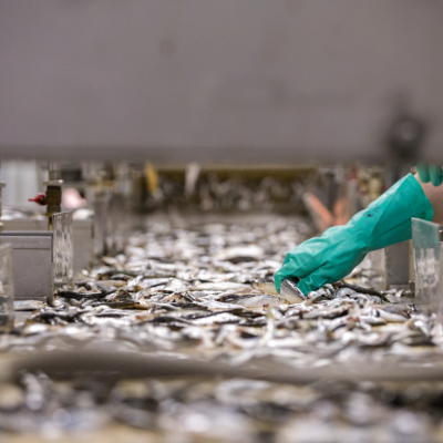 Food Processing Companies